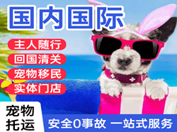 浪头航空货运国际宠物托运 【国
